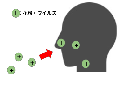 花粉・ウイルスが体内に侵入する図