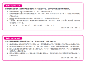 たのまなテキスト画像 レッツトライザテスト